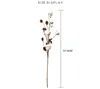 Fiori decorativi 1Pc 6 teste Rami di cotone Fiori essiccati naturalmente Arredamento per la casa Decorazione stradale Parete