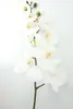 Dekorativa blommor Latex Artificial Orchid Butterfly Fake Phalaenopsis Real Touch Moth Silk Flower For Wedding Home Party Decoration