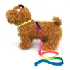 Leases Pet Rainbow Dog Cat Collar Leash med Bell Nylon Dog leder färgglad dragkraft