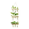 Vases Propagateur Tube À Essai Planteur Titulaire Fleur Avec Support En Bois Moderne Tenture Hydroponique Terrarium Décor À La Maison 3 Niveaux 230603