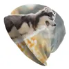 Berets Mountain Siberian Husky Dog Beanies 남성용 여성 트렌드 겨울 따뜻한 니트 모자 성인 알래스카 말라테 슬라우치 보닛 모자
