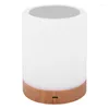 Candeeiros de mesa Night Light Touch Lamp para quartos sala de estar portátil cabeceira com bateria interna recarregável regulável 2800K-