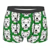 Caleçon furtivement chien West Highland White Terrier sous-vêtements hommes Stretch Westie Boxer Shorts culotte douce pour homme