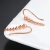 European Jewelry Korean Style Simple Fashion Ear Hanging 3a Zircon Rose Gold-Plated Ear Studs Ornament