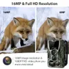 Hunting Cameras Suntekcam HC801A Camera With 5000Mah Lithium Battery 16MP 64GB Trail IP65 Po Traps 03s 940nm Wild 230603