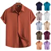 Camisas casuales para hombres Producto más vendido en 2023 Verano para hombres Algodón Lino Moda Tendencia Color sólido Solapa Camisa de manga corta 13 colores