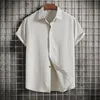 Casual overhemden voor heren Best verkopende product in 2023 Zomer Heren Katoen Linnen Modetrend Effen kleur Revers Shirt met korte mouwen 13 kleuren