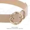 Bälten 2023 Summer Novelty Khaki Suede Leather Women Fashion Dress Up Daily Use Round Alloy Pin Buckle Midjeband för jeans