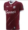 24 GAA Jerseys de rugby WEXFORD TIPPERARY GALWAY DUBLIN Gaélico camisa de futebol 2024 LIMERIC CAVAN KERRY TYRONE MAYO MEATH home away camisas tamanho S-5XL