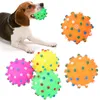 Spike Ball Sesli Evcil Hayvan Oyuncak Toksik Olmayan Vinil Balls Köpek Oyuncak Sesli Isırık Dayanıklı Oyuncaklar Köpek Dişleri Temizleyici Komik evcil hayvan aksesuarları