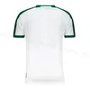 Camisas de futebol Guarani FC 2023 2024 Neilton Bruno Jose 23/24 Versão torcedores Casa Fora Nicolas Careca Bruno Michel Bruninho Giovanni Augusto Camisa de futebol tailandês