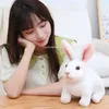 24cm Simulation Kawaii Long Ears Realistic Rabbit Plush Toy Lifelike Animal Stuffed Doll Toys for Kids Girls Birthday Christmas Gift Room Decor