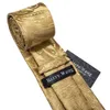 Neckband Guldmän slips Paisley Silk Pocket Square Present Box Barrywang Luxury Designer för manlig gravat Wedding BB5150 230605
