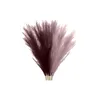 Fleurs décoratives 1 Pcs Herbe De Pampa Séchée Bouquet Artificiel De Haute Qualité Décor Simulation Reed Faux Mariage Maison De Vacances Pographie