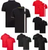 F1 Team Lapel Polo Shirts Formel 1 Drivers Racing T-shirts Korta ärmar Bilfans Summer andningsbara överdimensionerade T-skjortor herrtröjor