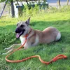 Dog Collars Leashes Collar Leash Slip Rope Lead Heavy Duty Braided Adjustable Loop Training for Medium Large Dogs 230606