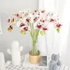 Dekorativa blommor Real Touch 5 Head/Branch Butterfly Office Home Christmas Wedding Decor Pu Artificial Flower Display Pot Orchid