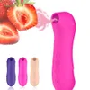 Klitor och bröstvårtor sucker USB bröstvårtstimulator vakuum för klitoris fitta pump vibrator kvinnor erotiska sex leksaker för par vuxna l230518