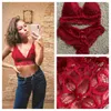 Maternity Intimates Women Bra Set Deep and Panties Underwear Embroidery Female Sexy Lingerie