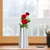 Wazony wazon wazon przeciw szorstki błyszczące przechowy
