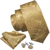Neckband Guldmän slips Paisley Silk Pocket Square Present Box Barrywang Luxury Designer för manlig gravat Wedding BB5150 230605