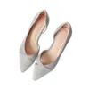 Buty damskie płaskie szare skierowane palce podstawowe proste zwięzłe buty na płaskie obcasy dodatkowy duży rozmiar 43 44 45 46 Mały rozmiar 31 32 33 Lady Shut