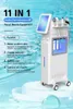 11 en 1 pulvérisateur facial machines de spa pistolet à jet d'eau microdémabrasion infusion d'oxygène peel RF fractionné haute fréquence poignée pièces de rechange prix des soins de la peau