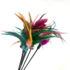 Cat Toys Feather Wand Kitten Cat Teaser Turkiet Feather Interactive Stick Toy Wire Chaser Wand Toy Random Color