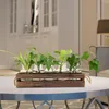 Vazen Glas Set Bloempot Water Planten Met 5 Transparante Flessen Hout Stand Decoratieve Home Decor Plant Vaas Voor Kantoor
