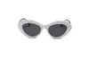 Polarized Womens Sunglasses Driving Cycling Eyeglasses Bicycle Glass Man SPORT Glasses WIND Ladies Round Sunnies Cat Spectacles