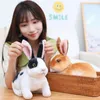 24cm Simulation Kawaii Long Ears Realistic Rabbit Plush Toy Lifelike Animal Stuffed Doll Toys for Kids Girls Birthday Christmas Gift Room Decor