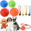 Hundeball, Haustier-Welpenspielzeug, unzerstörbarer Kauspielzeugball mit Schnur, interaktives Spielzeug für kleine Hunde, federnd, fester Gummiball