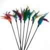 Cat Toys Feather Wand Kitten Cat Teaser Turkiet Feather Interactive Stick Toy Wire Chaser Wand Toy Random Color