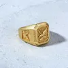 Eenvoudige punk sieraden 18K verguld roestvrij staal adelaar charme ring voor mannen