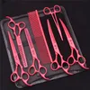 Scissors Shears 7.0 Pet Grooming Scissors Set Japanese Steel Straight Curved Dog Cat Cutting Thinning Shears Hair Comb Hemostatic Forceps Z3103 230605