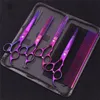 Scissors Shears Purple Dragon Pet Scissors 7'' Stainless Dog Groomming Scissors Kit Straight Shears Thinning Shears Chunker Curved Shears Z3003 230605