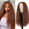 26 Inch African Small Curly Matte High Temp Silk Long Curl Synthetic Wig Center Parting Multiple Styles Available Lightweight and Voluminous