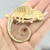 Brosches European och American Chameleon Crystal Brosch Animal Pin Personlig universell corsage -tillbehör för män kvinnor