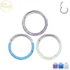 Nose Rings Studs F136 Septum Piercing Nose Ring 8-10mm Opal Hinged Segment Clicker Ear Cartilage Earrings Helix Lip Piercing Body Jewelr 230605