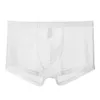 Caleçon Hommes Club Boxers Sexy Mince Glace Soie Culotte Transparente Sous-Vêtements