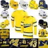 Michigan Wolverines Hockey Jersey Adam Fantilli Mackie Samoskevich T.J. Hughes Luke Hughes Dylan Duke Rutger McGroarty Seamus Casey Jacob Truscott Erik Portillo