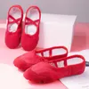 Flat shoes Children Girls Soft Sole Kids Adult Ballet Slippers Indoor Dance Practice Shoes 2 Pairs 230605