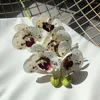 Fleurs décoratives Real Touch 5 tête/branche papillon bureau maison noël mariage décor PU fleur artificielle affichage Pot orchidée