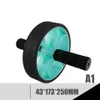 Ab Rollers Professionale a doppia ruota Aggiornato Ab Addominale Press Wheel Rulli Home Gym Attrezzatura per esercizi per Body Building Fitness 230605