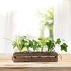 Vazen Glas Set Bloempot Water Planten Met 5 Transparante Flessen Hout Stand Decoratieve Home Decor Plant Vaas Voor Kantoor