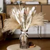 Fiori decorativi Bouquet di erba di pampa Fiori secchi naturali Boho Home Decor per centrotavola di nozze Decorazione di tavoli