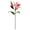 Dekorativa blommor 1 gren Konstgjord blomma Non-Welled Simulation 2 Heads Spring Lily Wedding Decoration