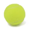 テニスボールプロフェッショナル強化ゴムテニスボールショックアブソーバー高弾性耐久性トレーニングボールクラブスクールトレーニング230606