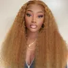 26 Inch African Small Curly Matte High Temp Silk Long Curl Synthetic Wig Center Parting Multiple Styles Available Lightweight and Voluminous