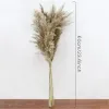 Buquê de grama de pampas de 60 cm, flores secas, decoração de casamento, decoração de natal, flores artificiais, decoração de outono